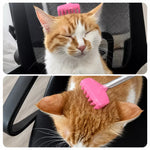 Retractable Pet Scratcher Toy for Cats and Dogs