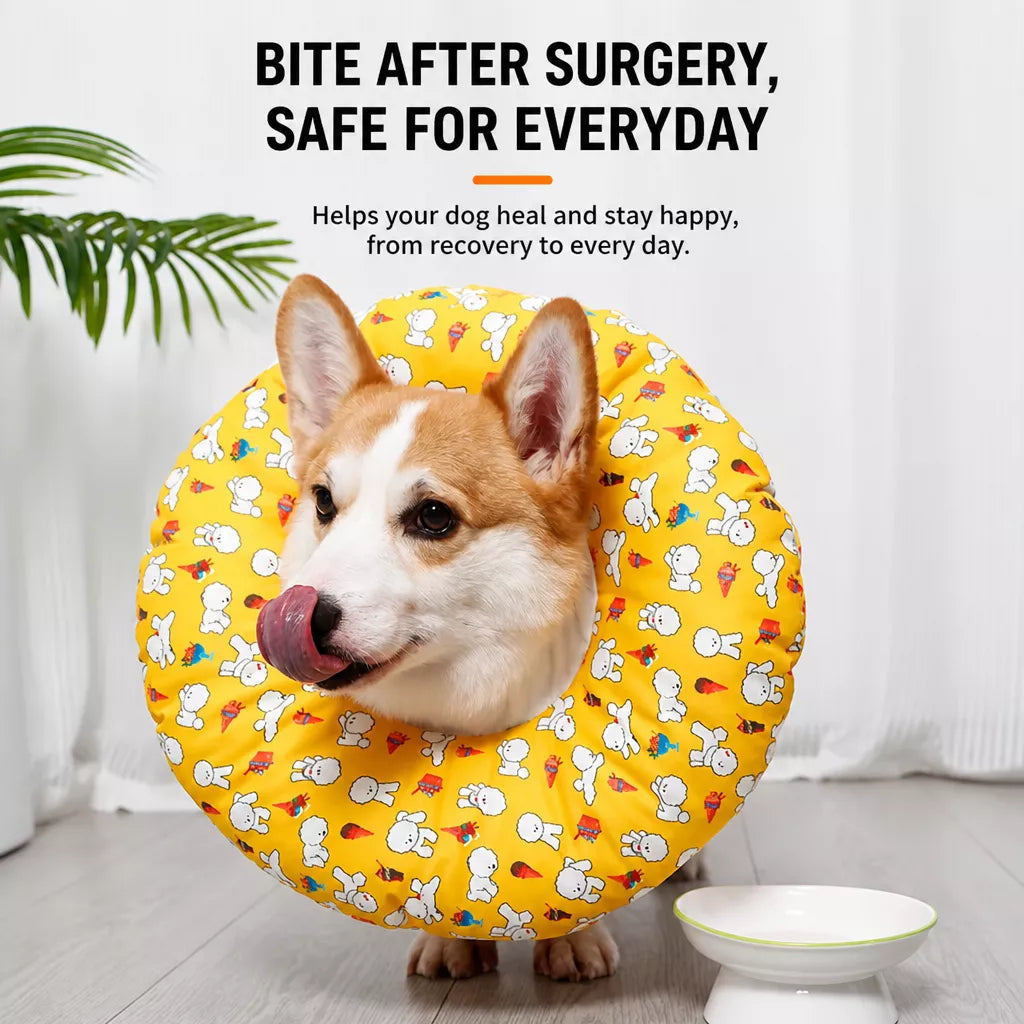 Soft Recovery Cone Collar for Dogs