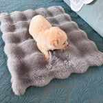 Pet Bed Mat for Cats, Dogs & Rabbits