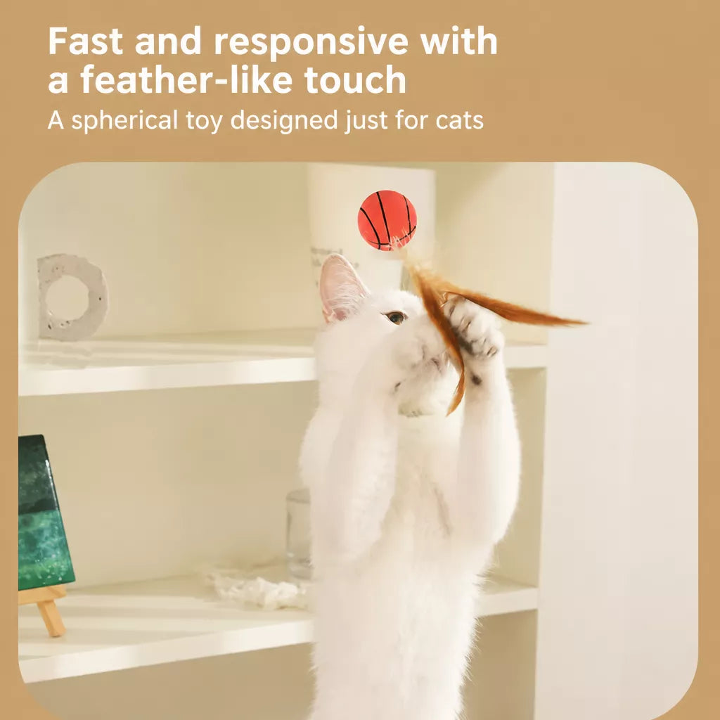 Cat Feather Teaser Ball Toy