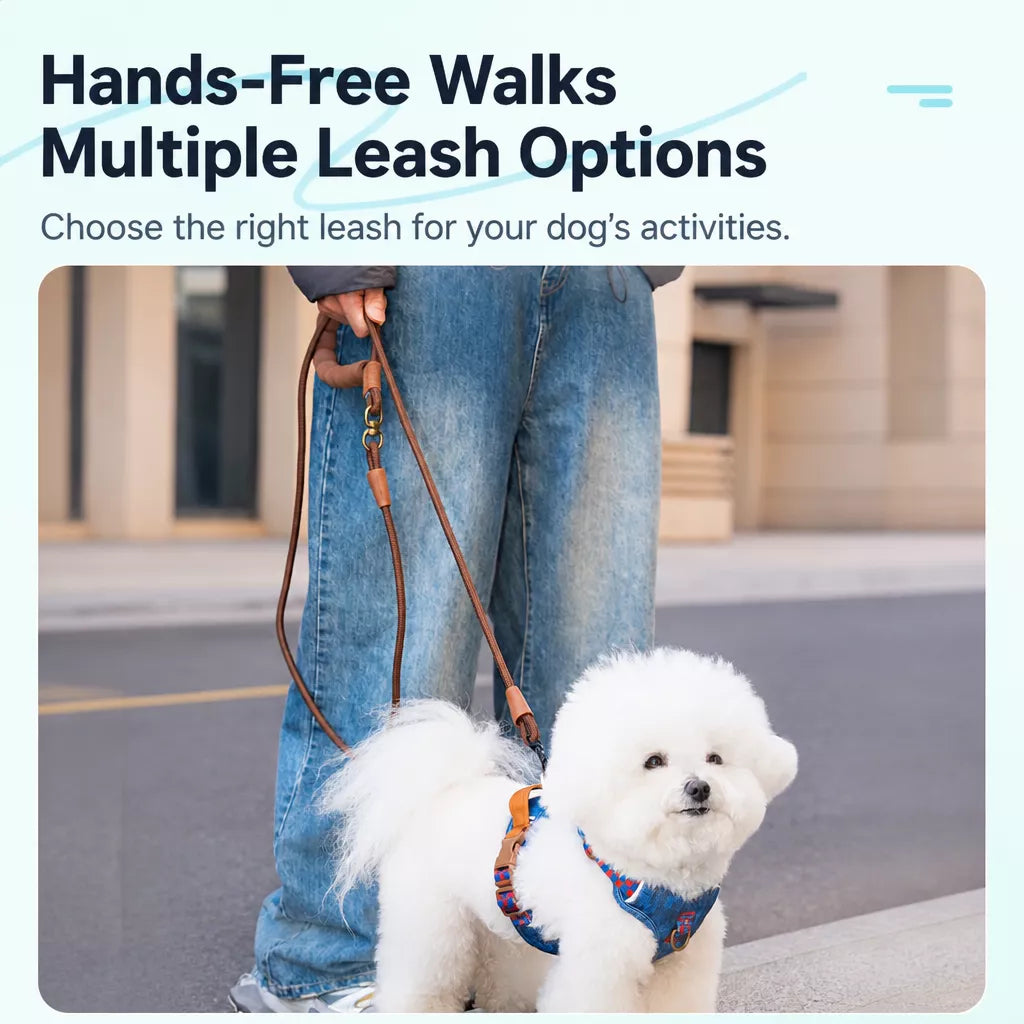 Adjustable Pet Harness