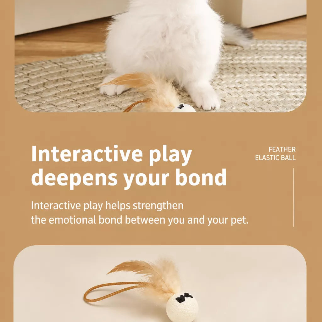 Cat Feather Teaser Ball Toy