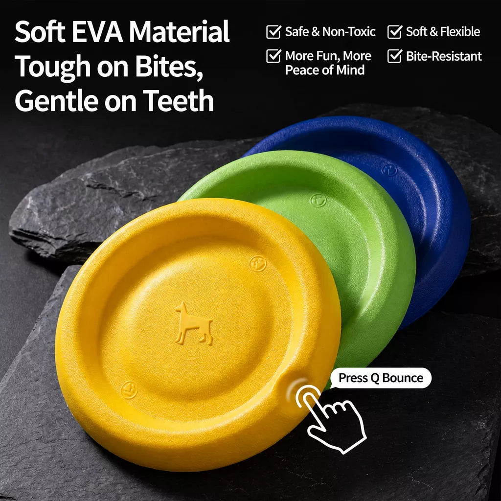 Floating Flying Disc Dog Toy Sets for Fetch and Water Play