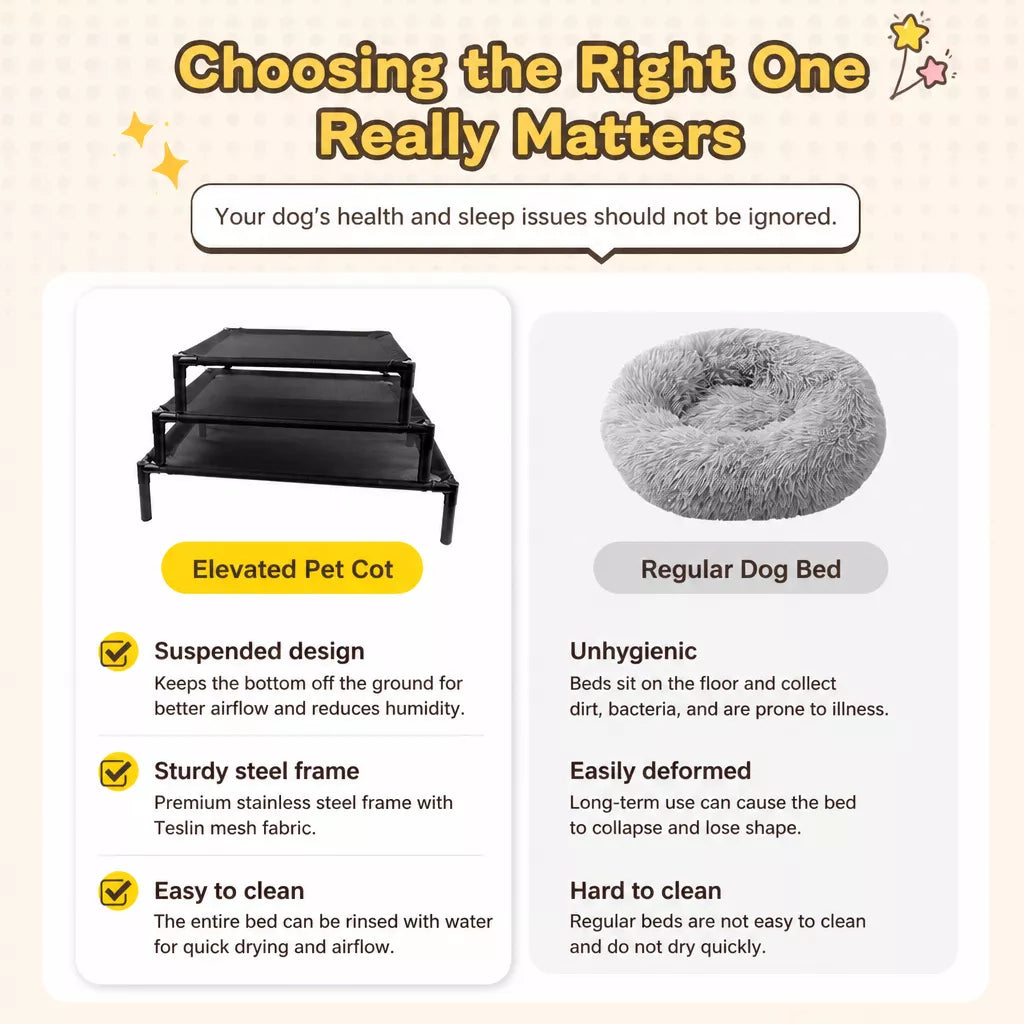 Elevated Portable Pet Bed with Removable, Washable Cover