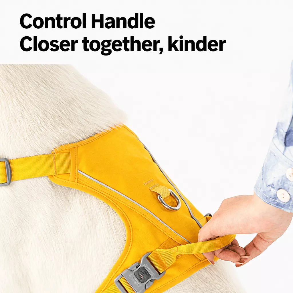 Nylon Dog Harness and Leash Set