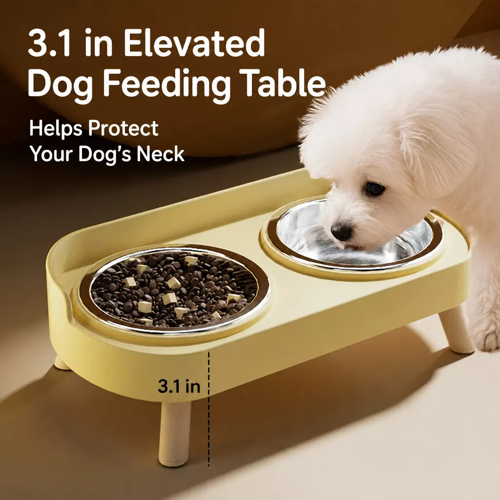 Small Dog Stainless Steel Bowl and Stand Set
