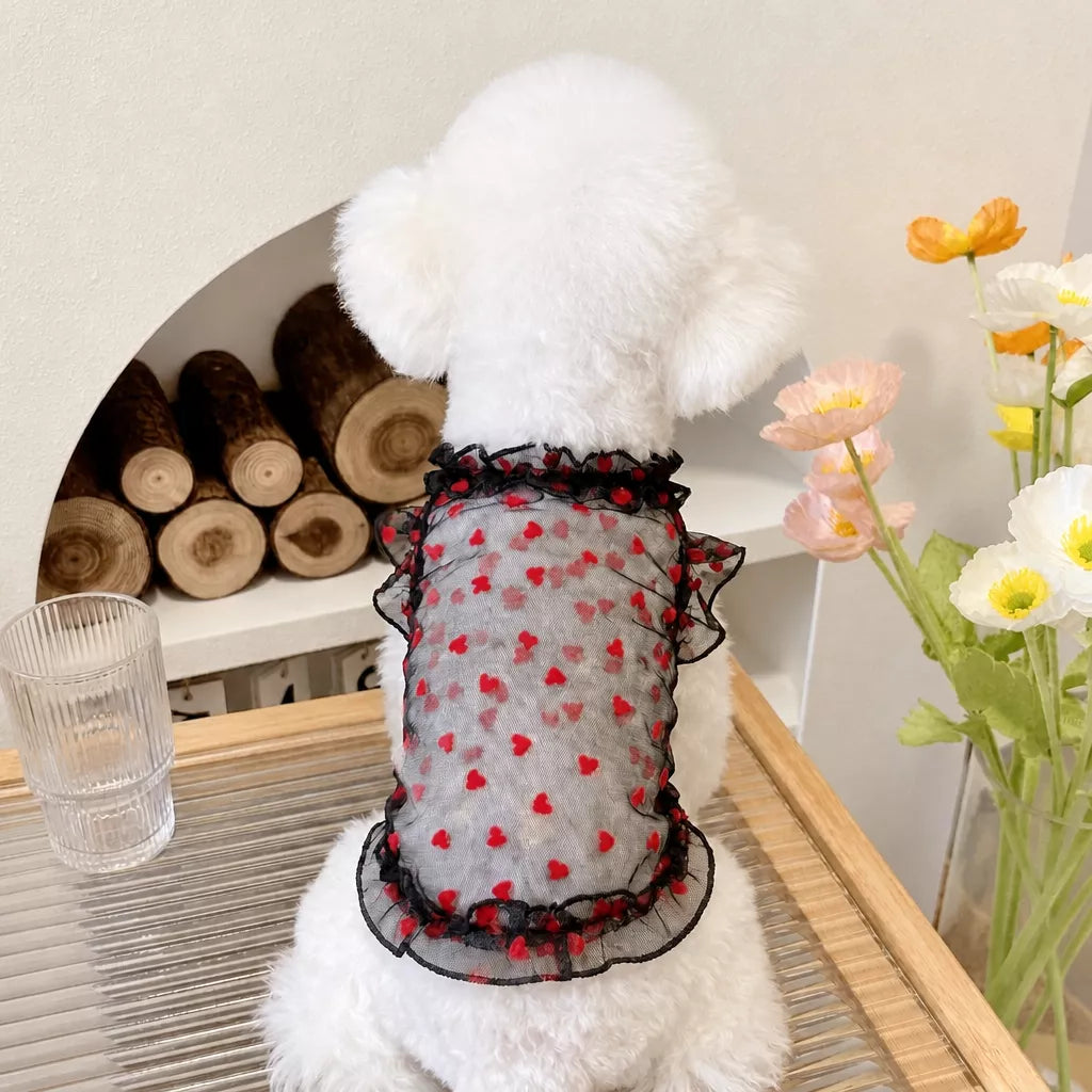 Daisy Mesh Pet Vest for Small Dogs and Cats
