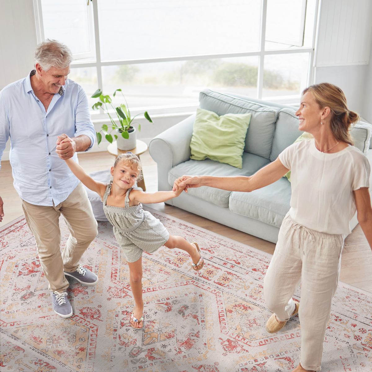23955844