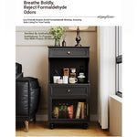 Elegant Multi-Layer Board Glass Cabinet - Stylish Storage Solution for Every Room fcr-4820