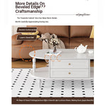 Stylish Multi-Layer Board Tea Table with Storage | Modern Oval Coffee Table for Living Room fcr-4837