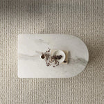 Stylish Stone Density Board Coffee Table with Storage - Modern Oval Design for Living Room fjd-4705