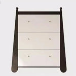 Stylish Ash Wood Density Board Cabinet with Modern Design and Gold Accents - Perfect for Any Room! fjd-4746