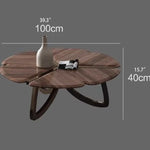 Elegant Black Walnut Wood Tea Table Set with Stainless Steel Accents - Modern Design for Stylish Living Rooms fplk-5026