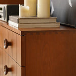 Elegant Boxwood Cabinet for Modern Living Spaces: Stylish Storage Solution fpmxm-2798