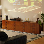 Elegant Boxwood Cabinet for Modern Living Spaces: Stylish Storage Solution fpmxm-2798