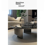 Stylish Round Marble Coffee Table with Stainless Steel Base - Modern Multi-Layer Design for Living Room Elegance fyeyj-5211