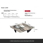 Stylish Marble Top Coffee Table with Stainless Steel Base – Modern Living Room Furniture fyeyj-5216
