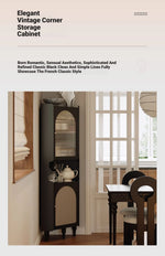 Elegant Black Cabinet with Acrylic Rattan Weaving Design – Stylish Storage Solution for Any Room fymj-4851