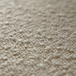 Stylish Off White Chair with Natural Cherry Wood - Down & Polyester Upholstery fyx-828