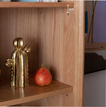 Elegant Brown Cherry and Paulownia Wood Cabinet with Glass and Metal Accents fyx-857