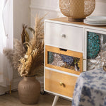 Stylish Chinese Fir Cabinet with Tempered Glass Doors - Modern Accent Storage Unit hdst-4322