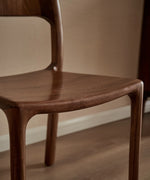 Stylish Black Walnut Wood Dining Chair - Modern Design for Home & Office Decor hjy-5014