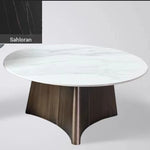 Elegant Sintered Stone Coffee Table Set - Modern Round Design for Living Room Decor hldjj-3023