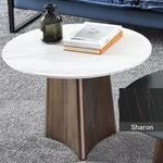 Elegant Sintered Stone Coffee Table Set - Modern Round Design for Living Room Decor hldjj-3023