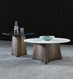 Elegant Sintered Stone Coffee Table Set - Modern Round Design for Living Room Decor hldjj-3023