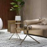 Stylish Stainless Steel Coffee Table - Modern Design with Elegant Finish for Living Room Decor hmsf-4665