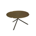 Stylish Stainless Steel Coffee Table - Modern Design with Elegant Finish for Living Room Decor hmsf-4665
