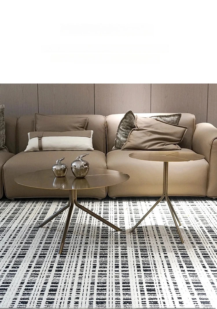 Stylish Stainless Steel Coffee Table - Modern Design with Elegant Finish for Living Room Decor hmsf-4665