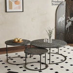 Stylish Acrylic Stainless Steel Coffee Table Set - Modern Nesting Tables for Living Room Decor hmsf-4668