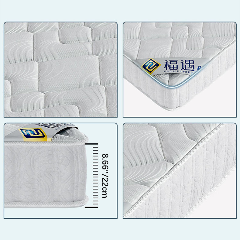 Ultimate Comfort Bed Mattress - Premium White Latex Support hmzsh-1549