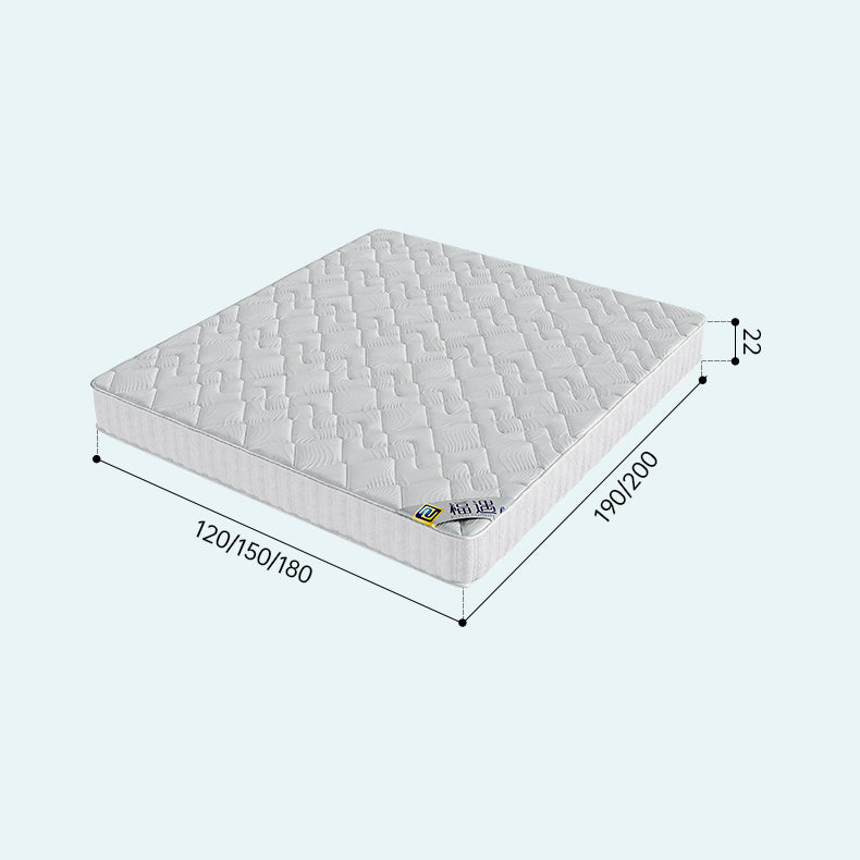 Ultimate Comfort Bed Mattress - Premium White Latex Support hmzsh-1549