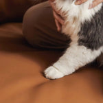 Luxury Faux Leather Sofa with Ash Wood and Carbon Steel Accents - Modern Elegance for Your Living Room hns-4117