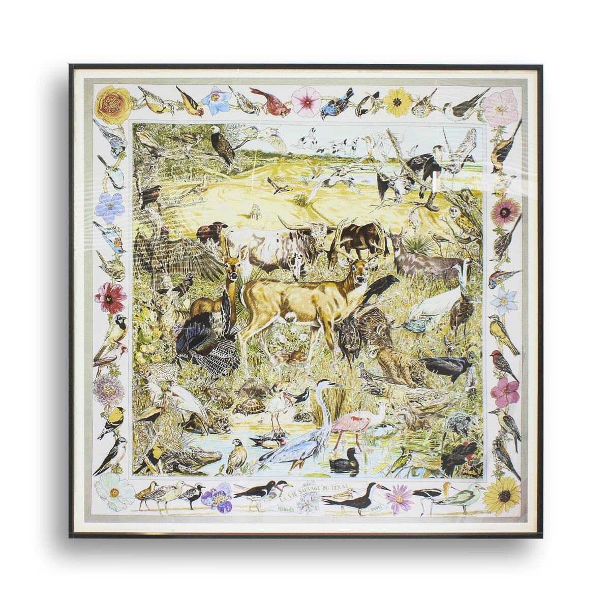 Elegant Beech Wood Mirror with Glass Finish - Stylish Home Décor Accent for Any Room hrn-5261