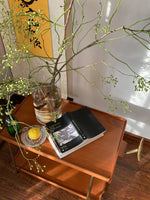 Elegant Metal and Oak Serving Cart with Copper Accents - Perfect for Entertaining hrn-5272