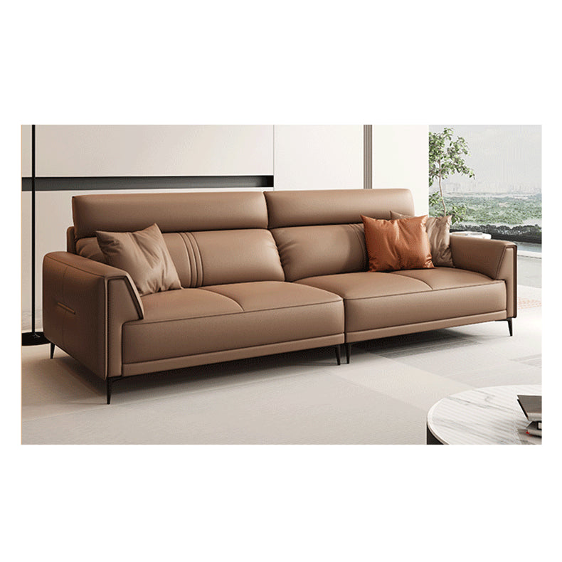 Luxurious Dark Brown Sofa with Pine Wood Frame and Plush Goose Down Cushions hzh-1352