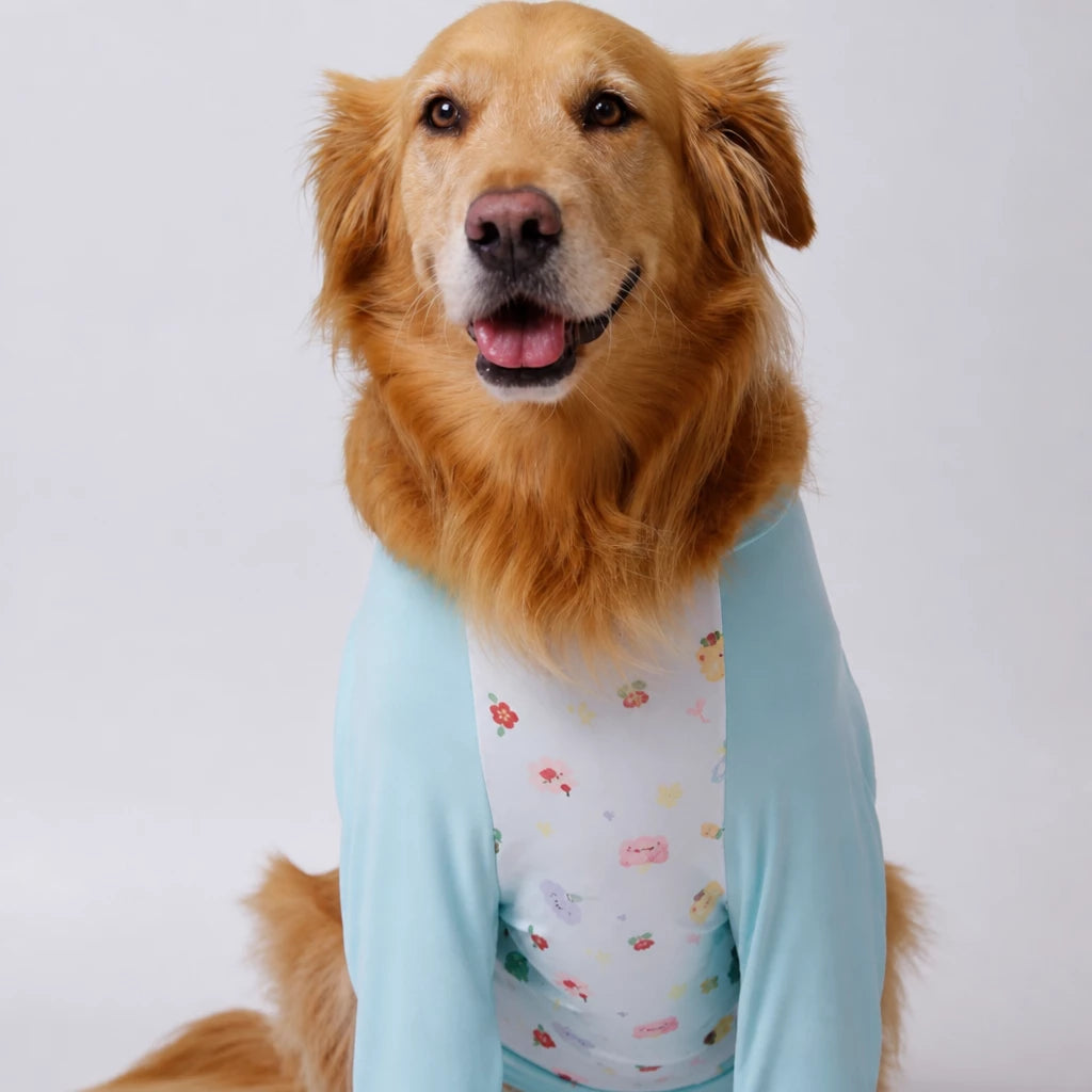 Lightweight Summer Shirt for Medium and Large Dogs
