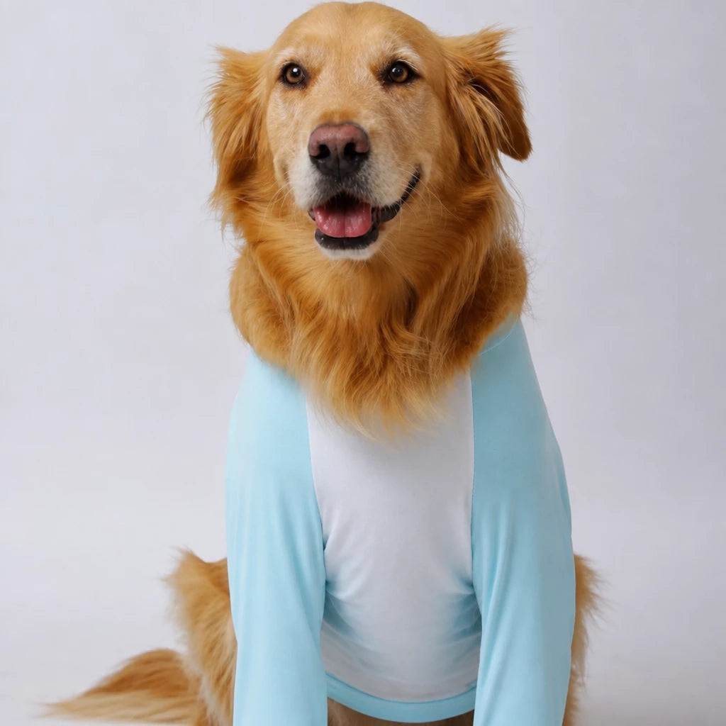 Lightweight Summer Shirt for Medium and Large Dogs