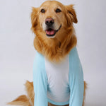 Lightweight Summer Shirt for Medium and Large Dogs