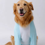 Lightweight Summer Shirt for Medium and Large Dogs