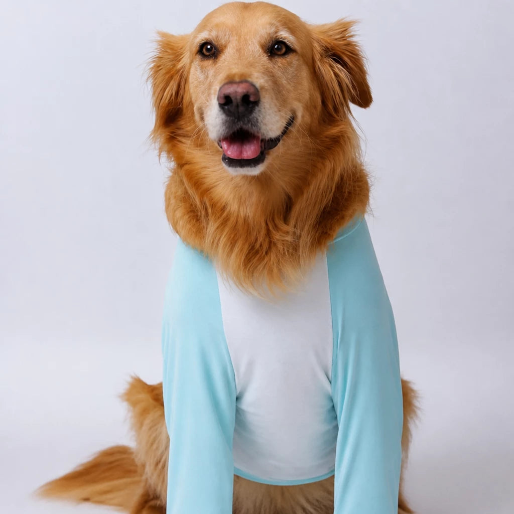 Lightweight Summer Shirt for Medium and Large Dogs