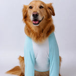 Lightweight Summer Shirt for Medium and Large Dogs