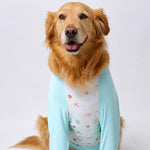 Lightweight Summer Shirt for Medium and Large Dogs