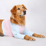 Lightweight Summer Shirt for Medium and Large Dogs