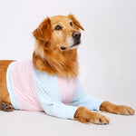 Lightweight Summer Shirt for Medium and Large Dogs
