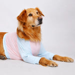 Lightweight Summer Shirt for Medium and Large Dogs
