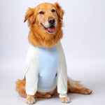 Lightweight Summer Shirt for Medium and Large Dogs